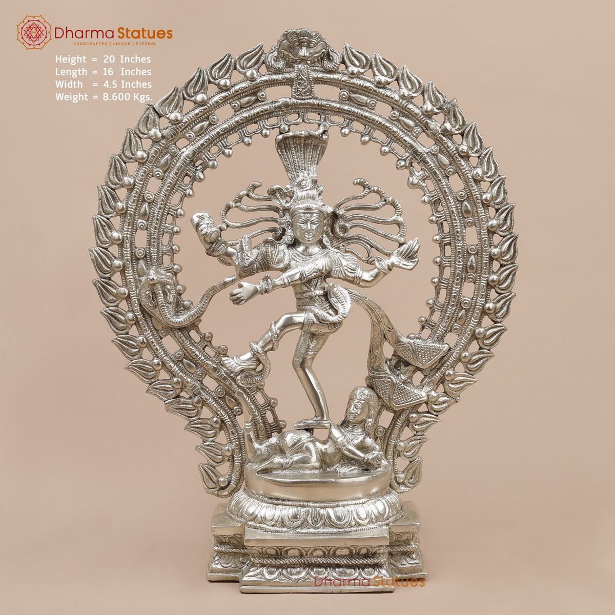Brass Natraj fine, Silver Finish  20”